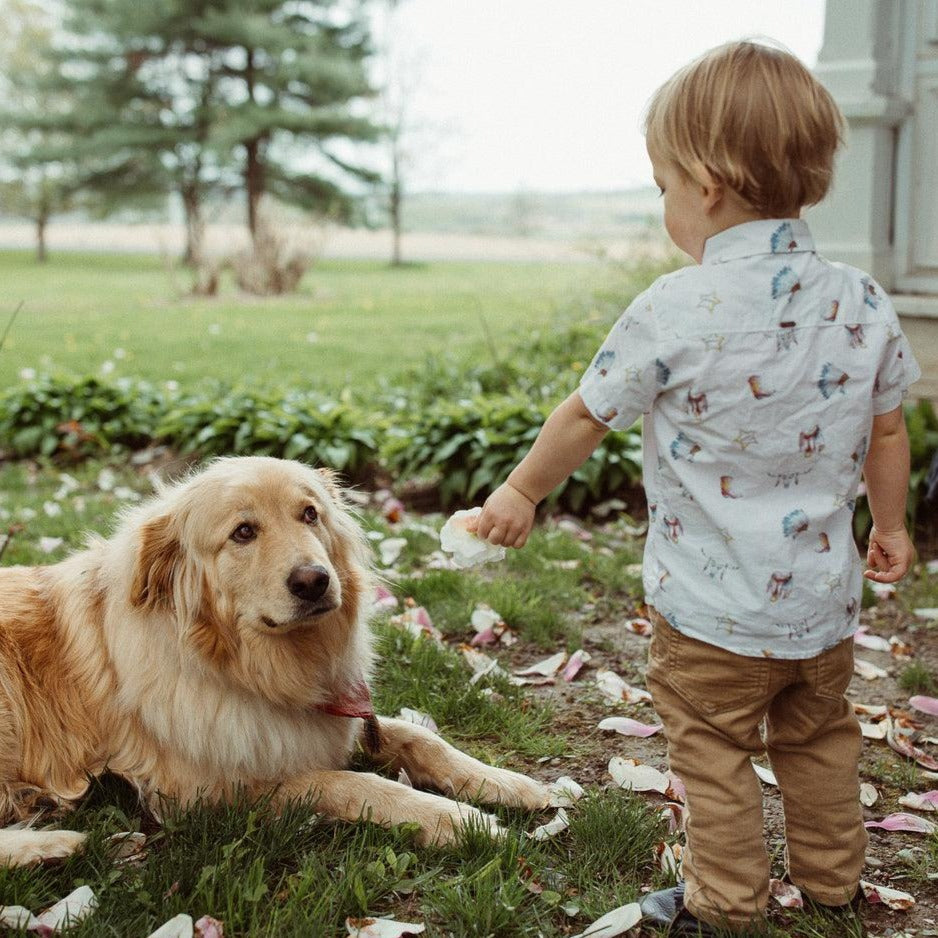 The Local Branch - Dog Collar  - USA Made