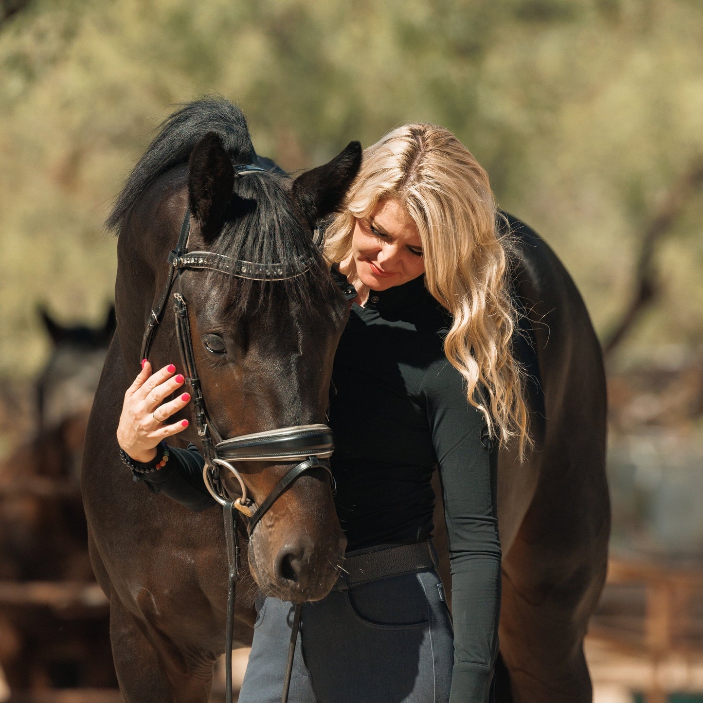 Halter Ego - The Eiffel Tower Black Leather Snaffle Bridle