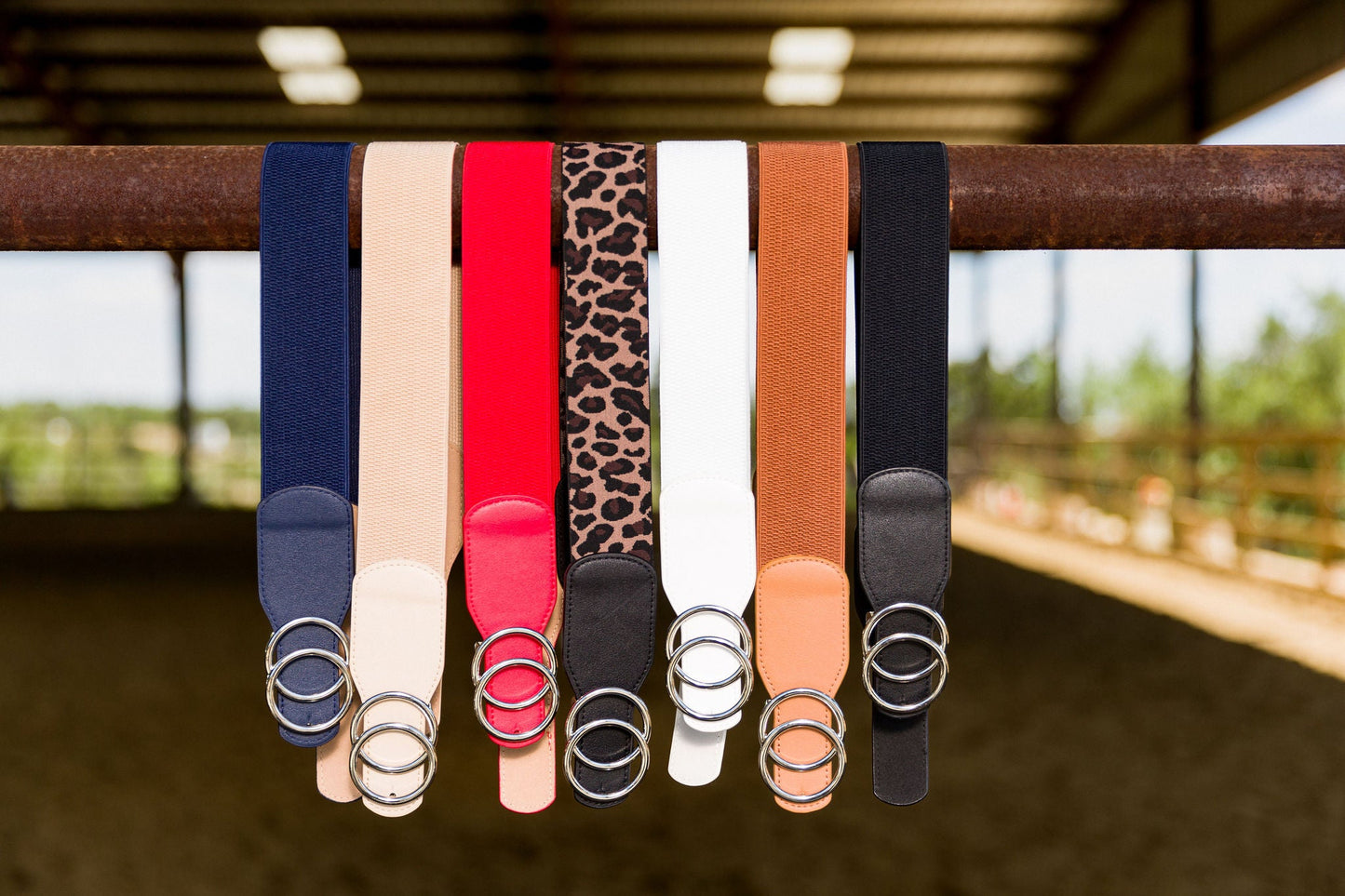 Canter Culture - Double Circle 2" Elastic Belt