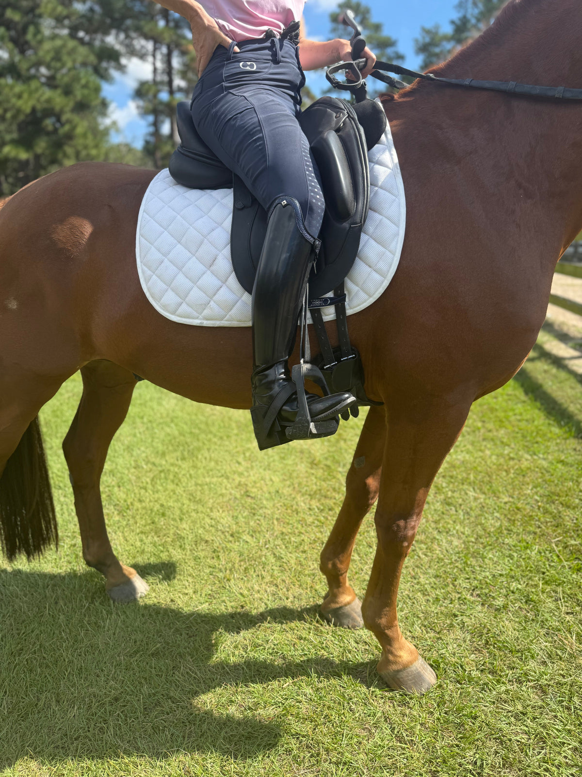 Correct Connect - Equisole EXternal-Weighted Training Aid for Equestrians