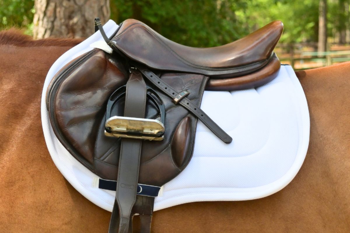 Correct Connect - Jump Mesh Saddle Pad with Quick Dry Cotton Lining in Navy, White, or Black