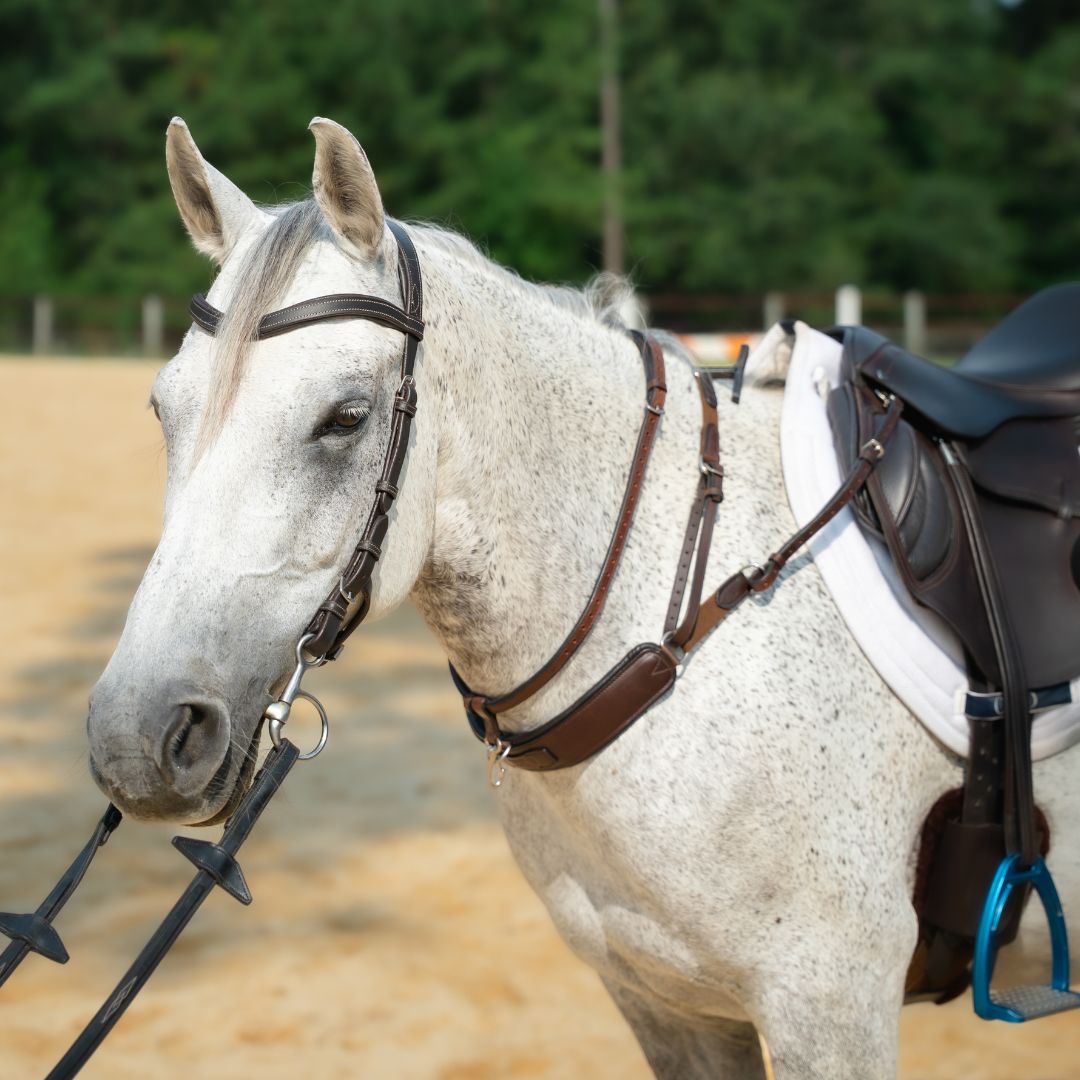 Correct Connect - 3-in-1 Training Breastplate