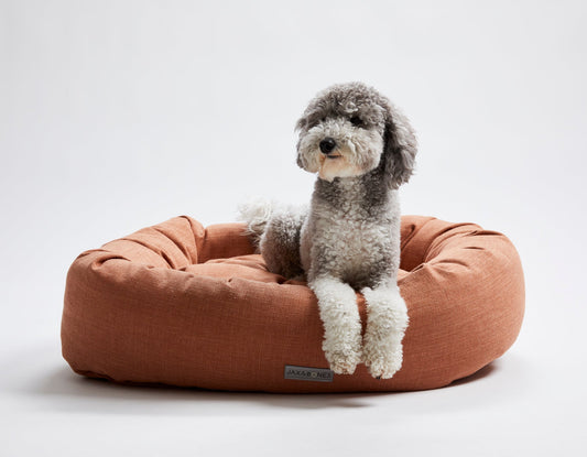 Jax & Bones - Warby Terracotta Donut Bed