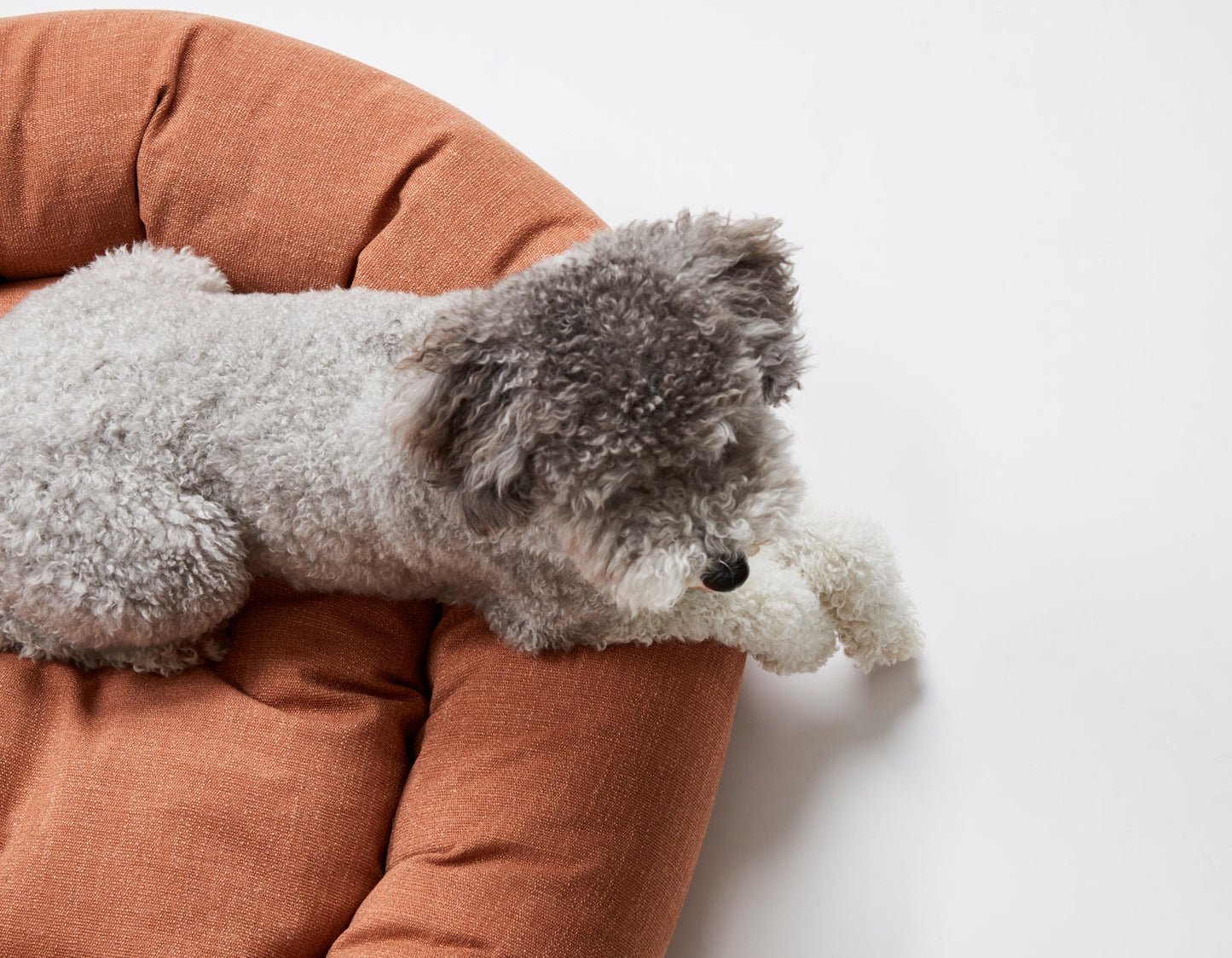 Jax & Bones - Warby Terracotta Donut Bed