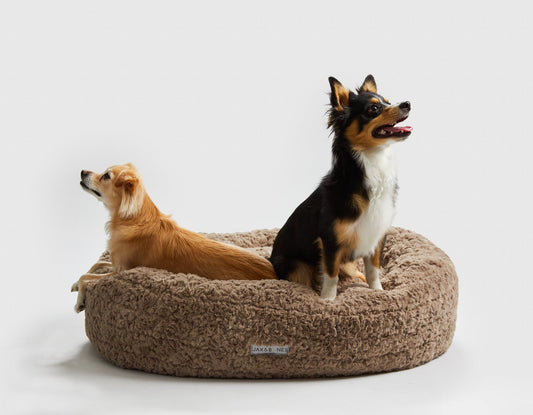 Jax & Bones - Mocha Cloud Donut Bed