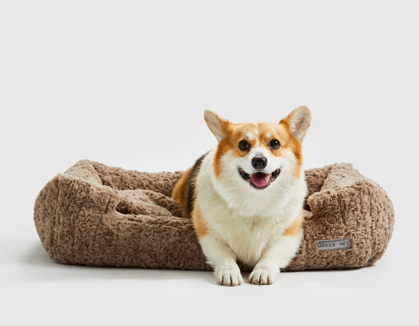 Jax & Bones - Mocha Cloud Lounge Bed