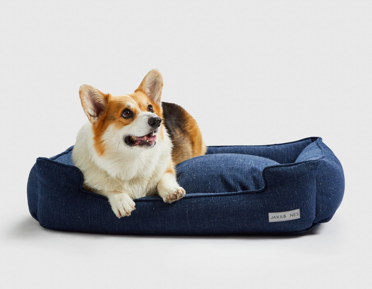 Jax & Bones - Warby Navy Lounge Bed