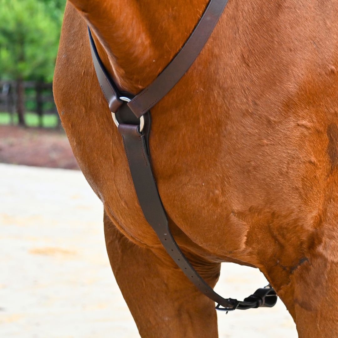 Correct Connect - 3-Point Breastplate with Double Neck Strap