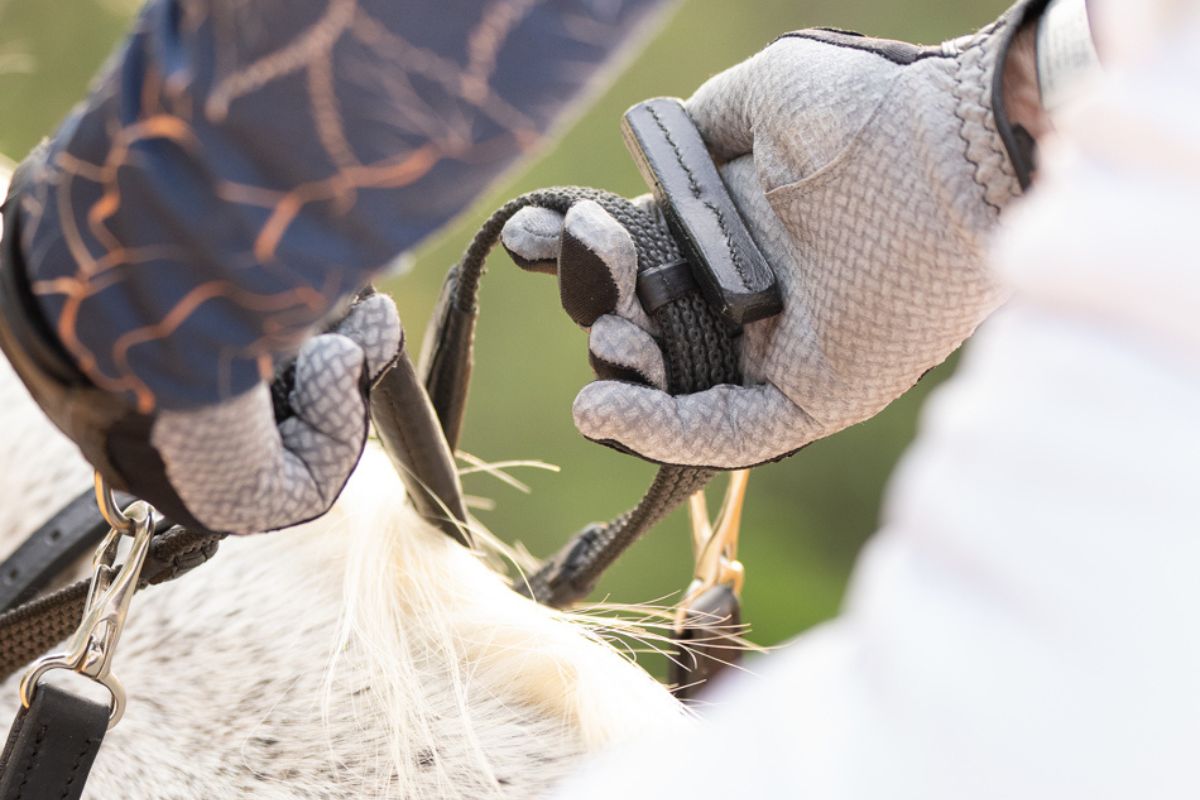 Correct Connect - 3-in-1 Training Breastplate