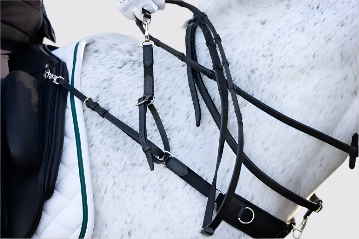 Correct Connect - 3-in-1 Training Breastplate