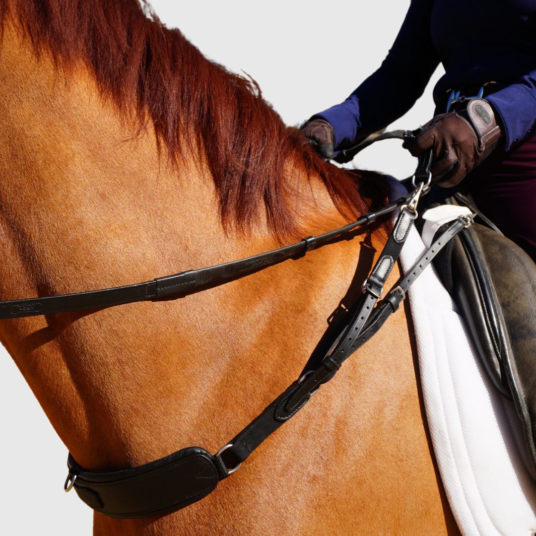 Correct Connect - 3-in-1 Training Breastplate
