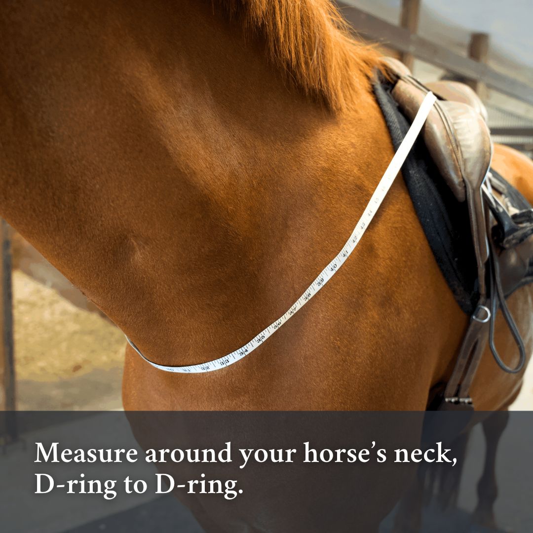Correct Connect - 3-in-1 Training Breastplate