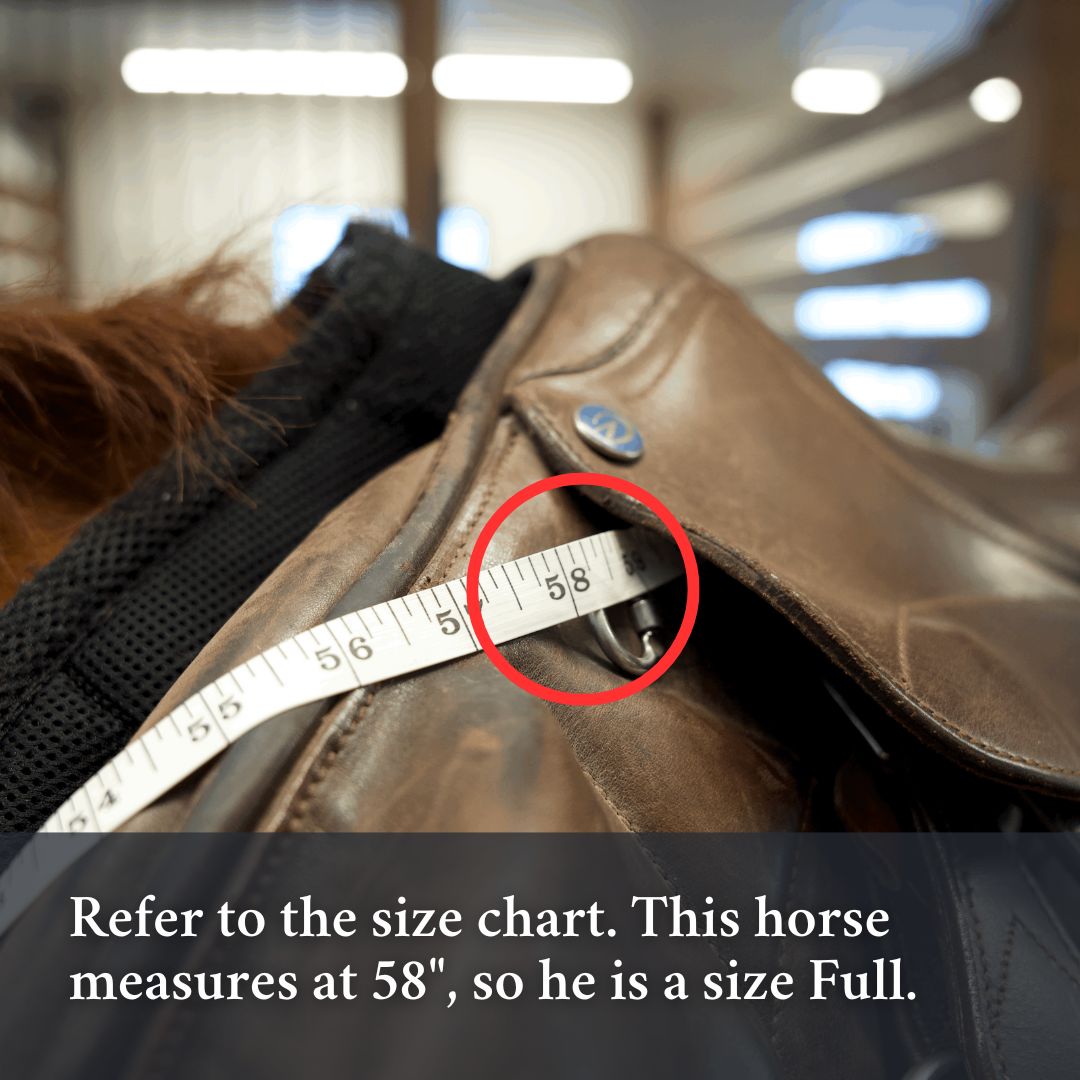 Correct Connect - 3-in-1 Training Breastplate