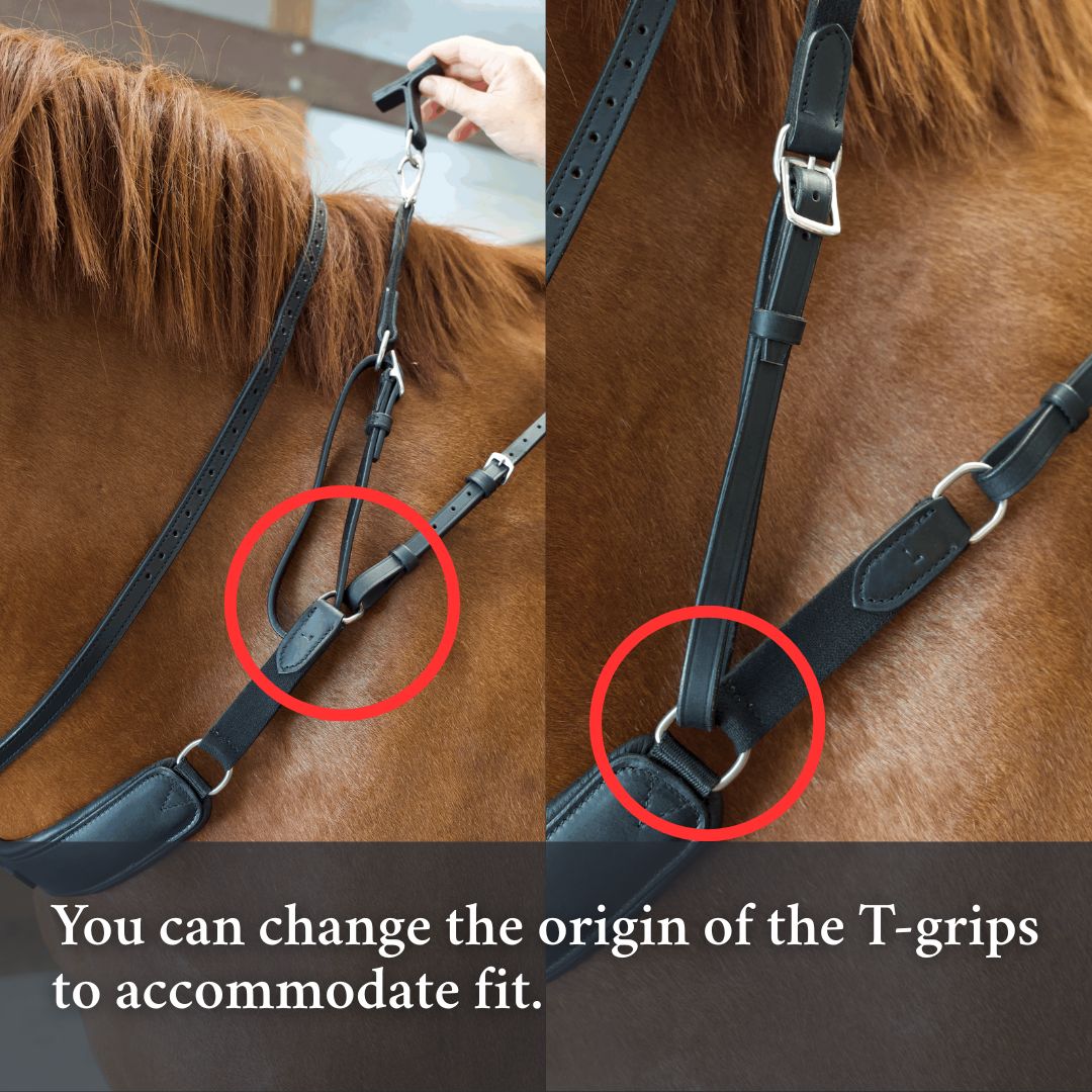 Correct Connect - 3-in-1 Training Breastplate