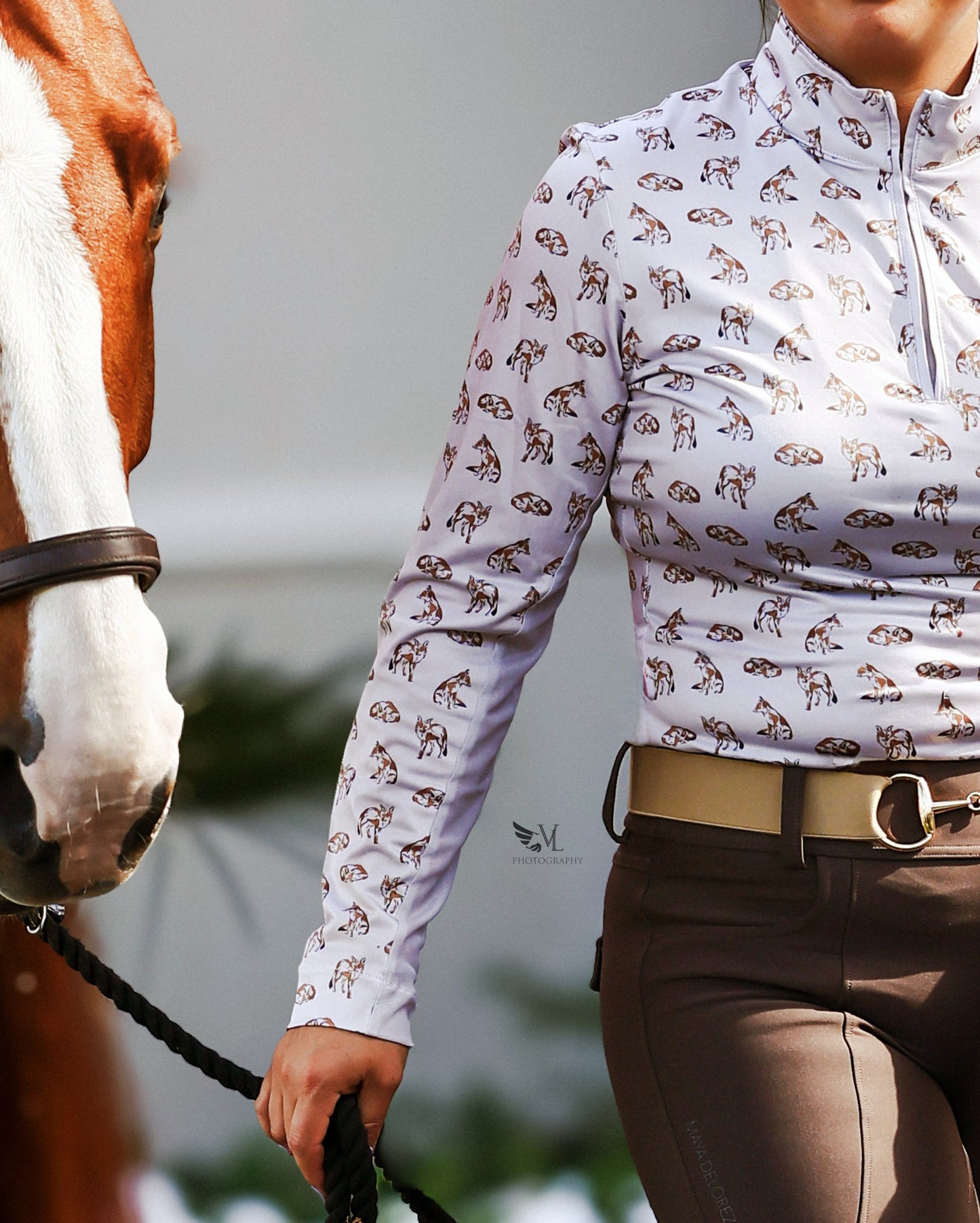 The Proper Fox - Fox Sun Shirt