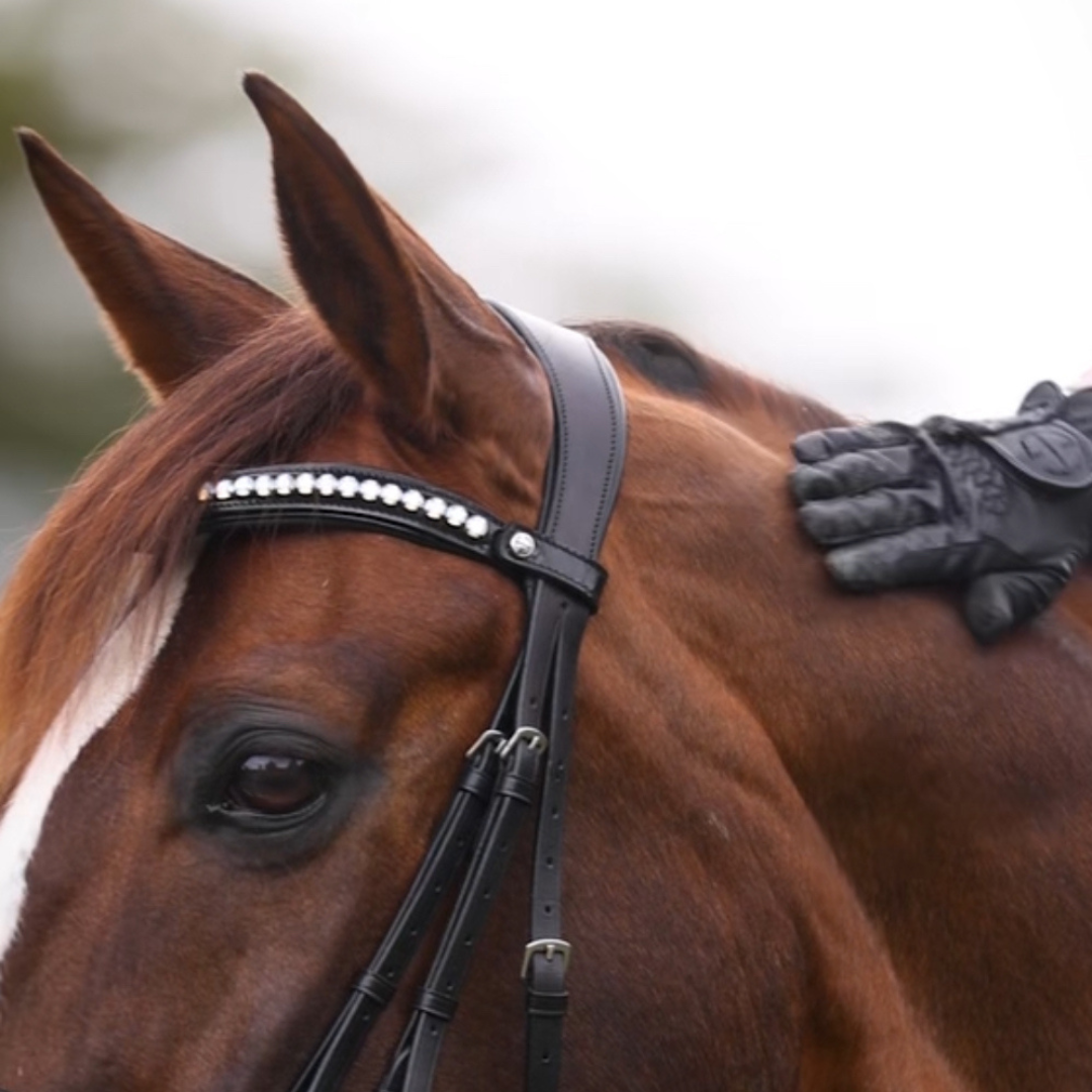 Halter Ego - Valentina Black Patent Sparkle Snaffle Bridle