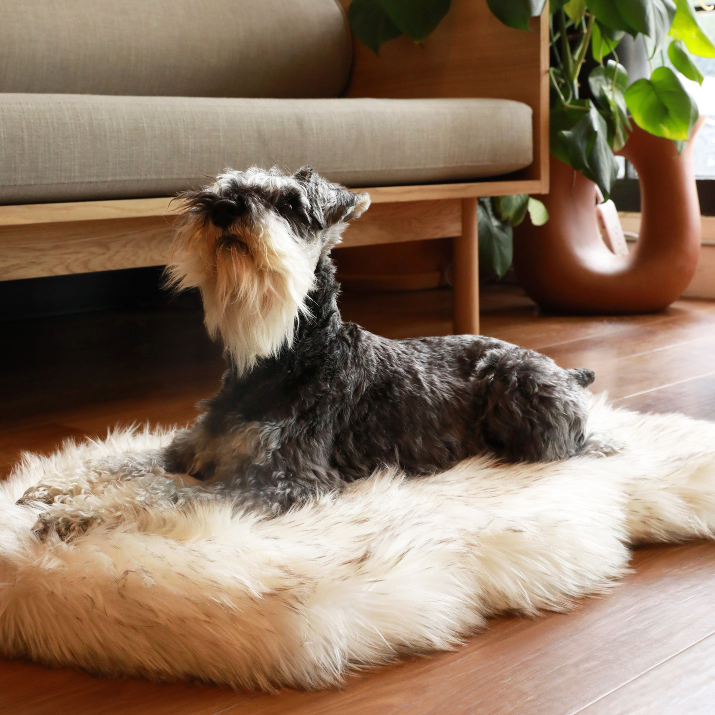 PupRug by Paw.com® Faux Fur Orthopedic Dog Bed - Curve White with Brown Accents