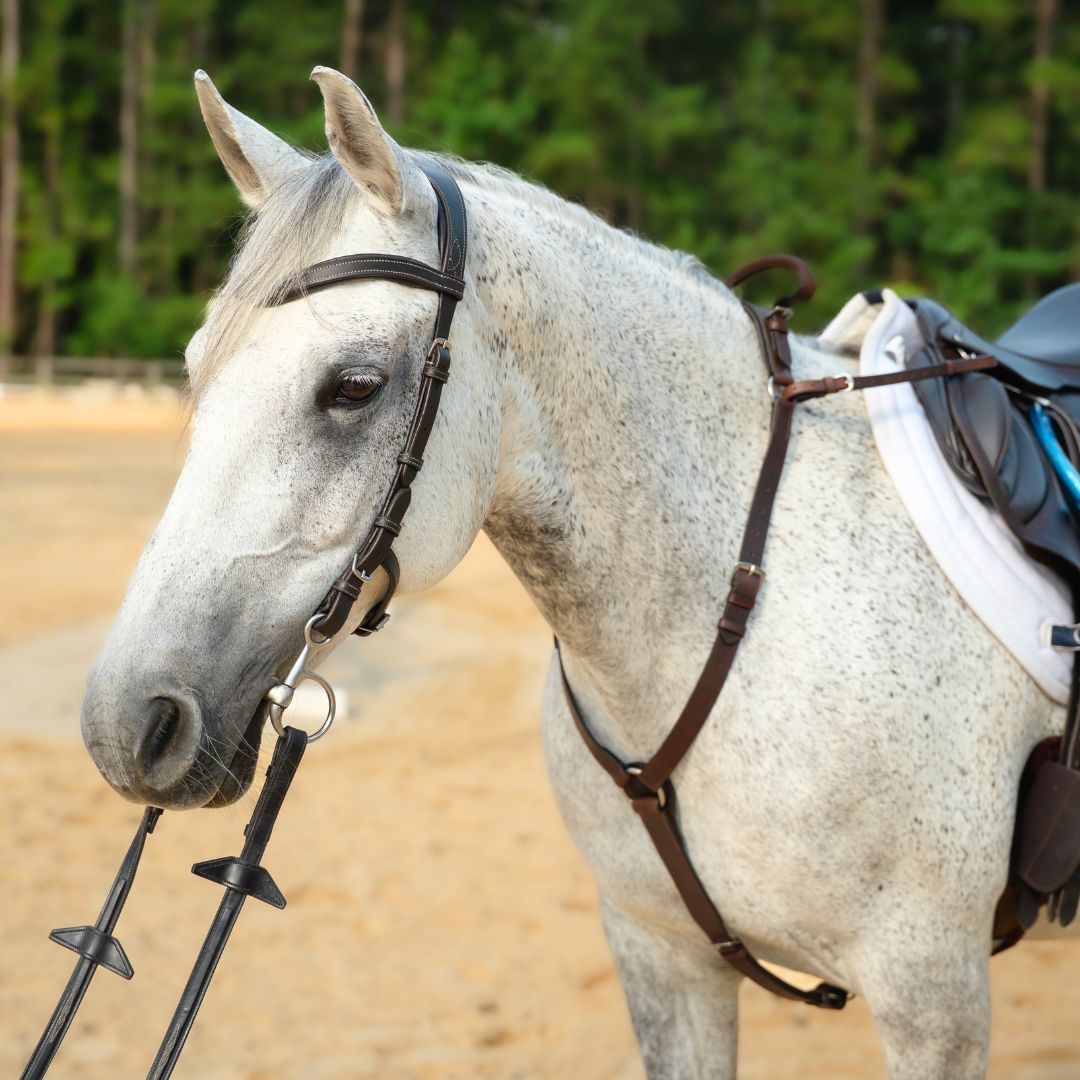 Correct Connect - 3-Point Breastplate with Double Neck Strap