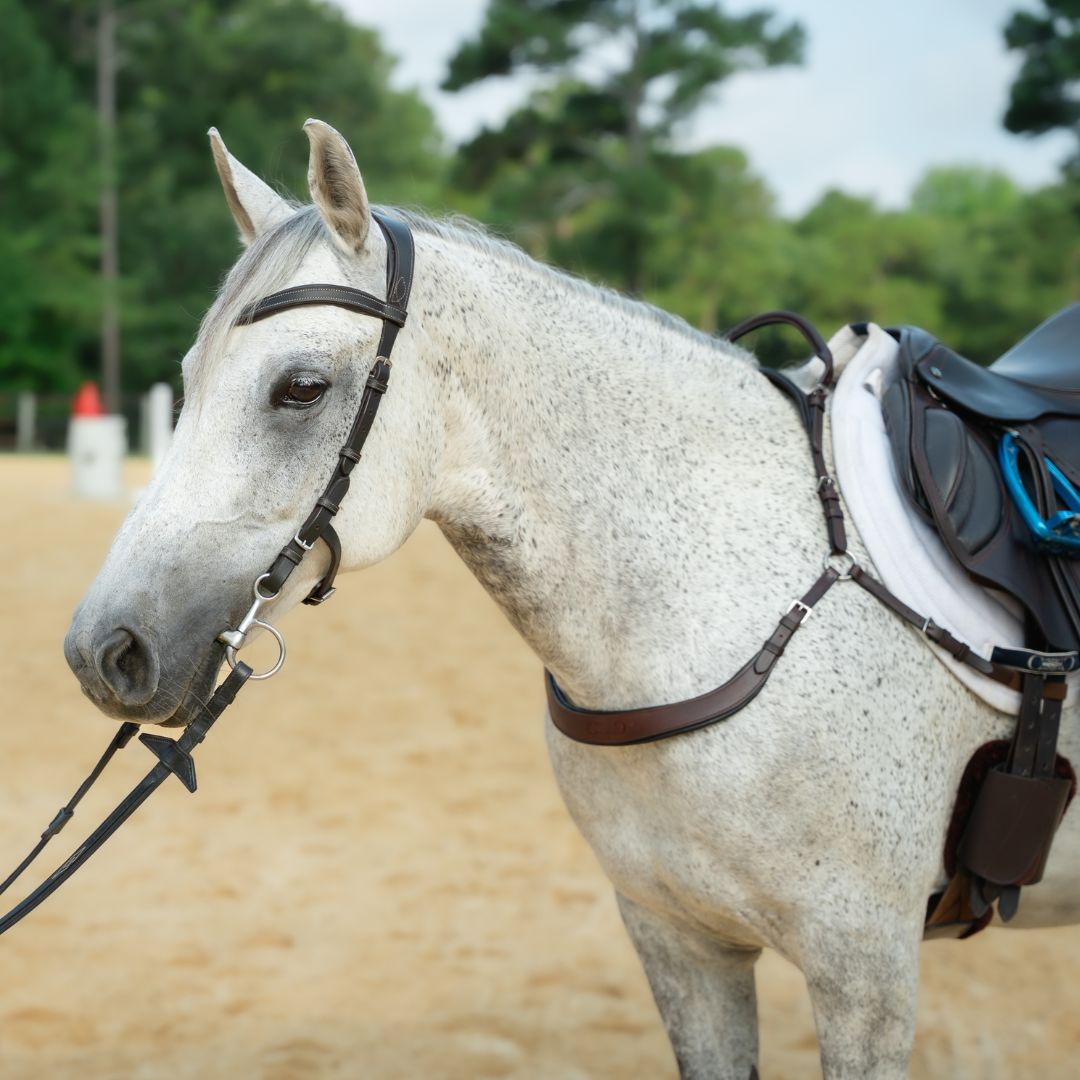 Correct Connect - Free Motion Breastplate with Double Neck Strap