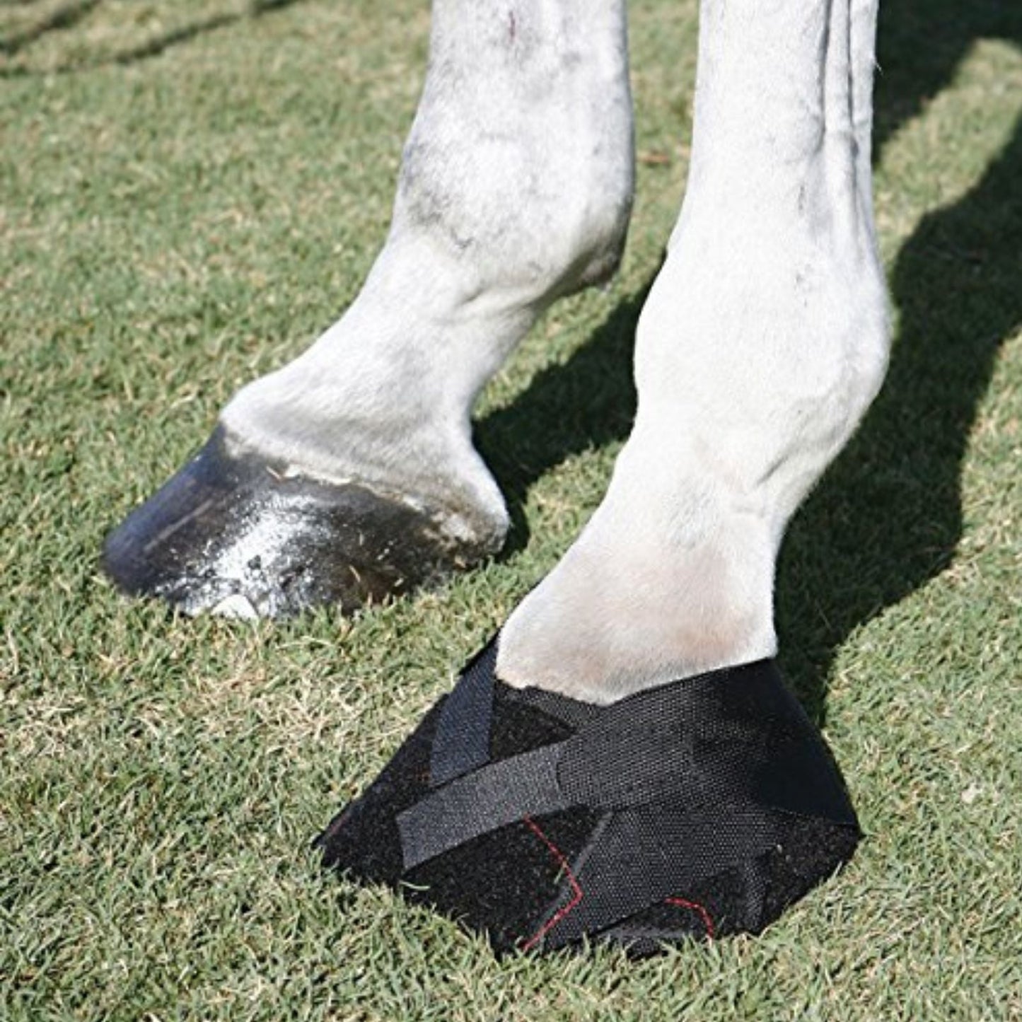 Ice Horse - Hoof Wraps Bandage
