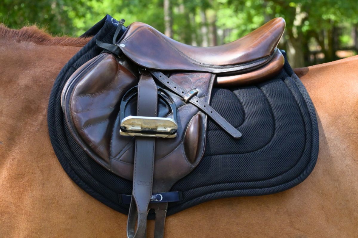 Correct Connect - Jump Mesh Saddle Pad with Quick Dry Cotton Lining in Navy, White, or Black