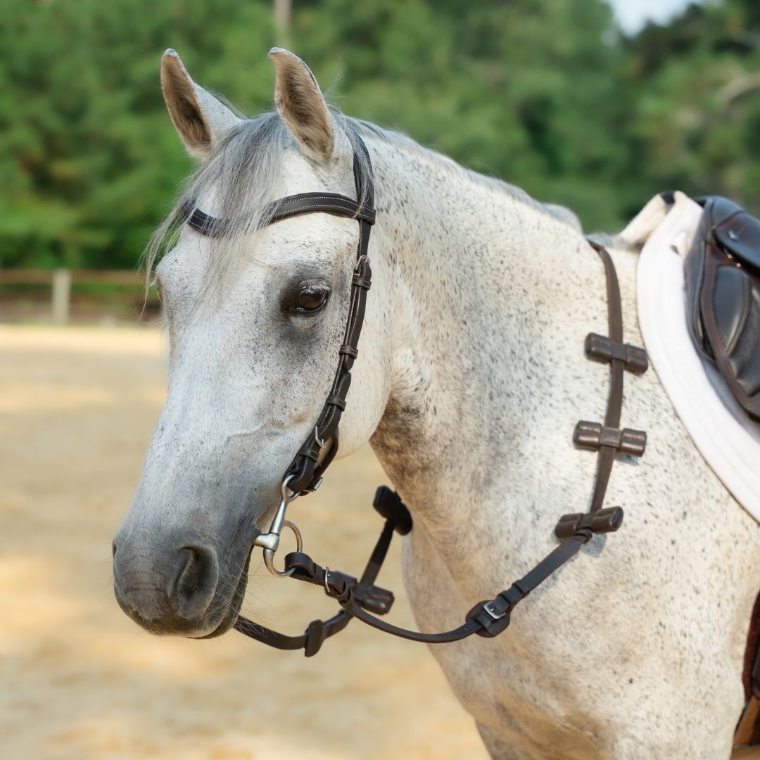 Correct Connect - Aaron Vale Rein-3 Padded Hand Grips (Pony)