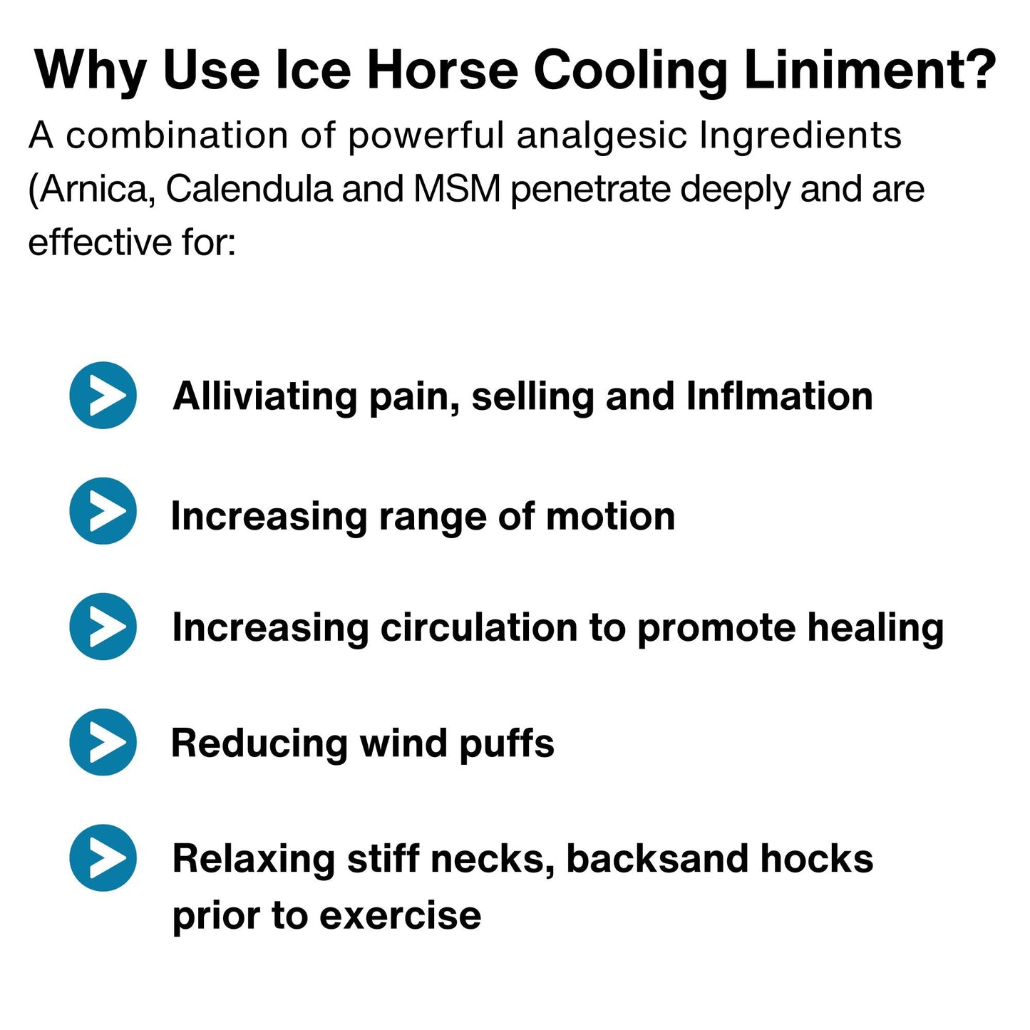 Ice Horse - Cooling Liniment and Cold Therapy Extender