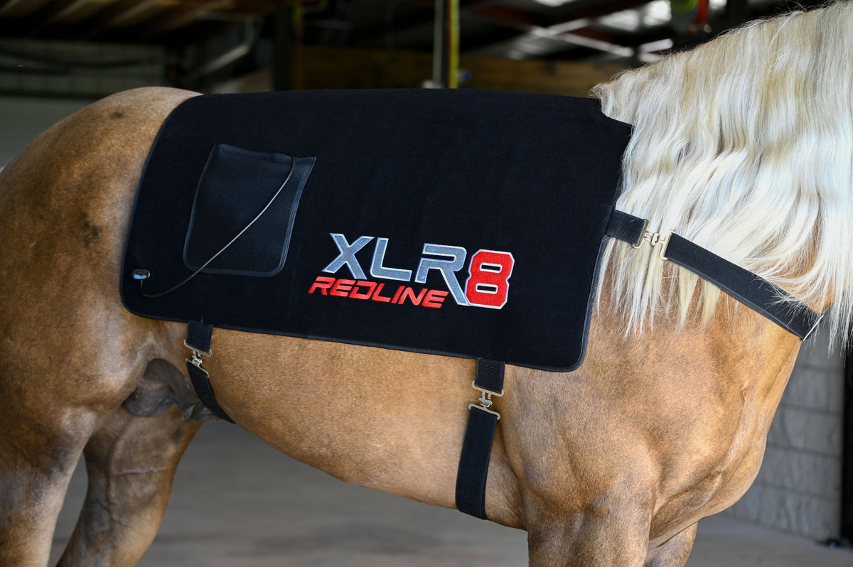 XLR8 Equine - Redline Back Wrap