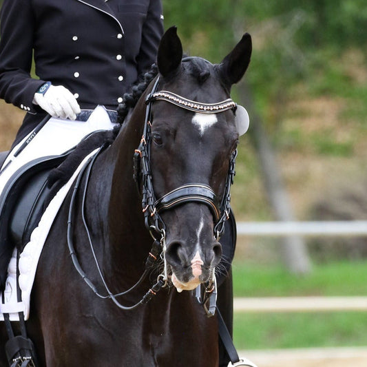 Halter Ego - Aurelia Rose Gold Black Patent Double Bridle