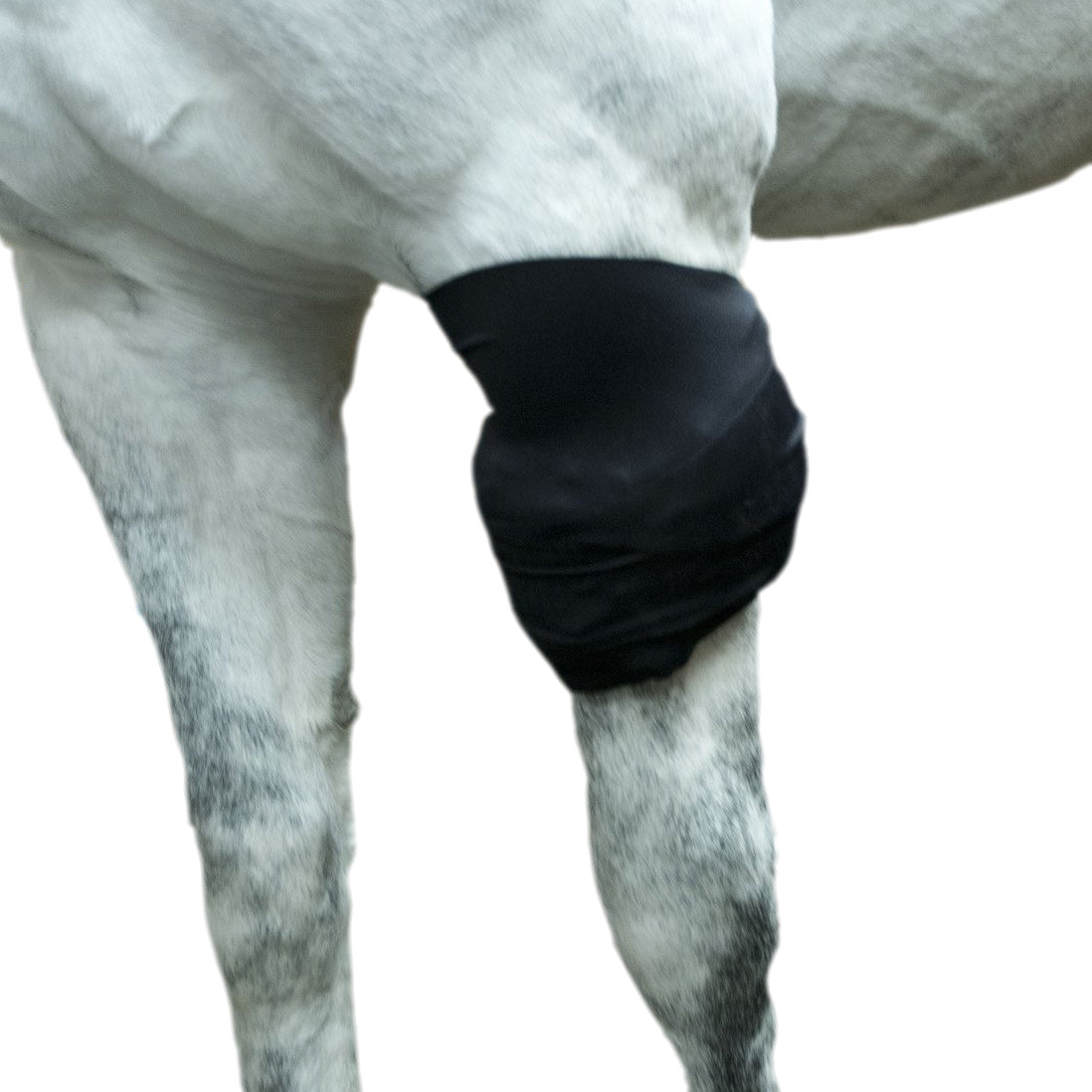 Ice Horse - All-Purpose Ice Wrap