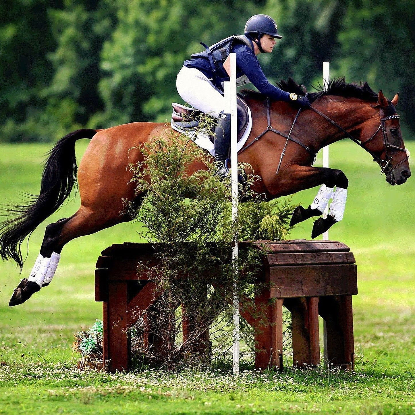 MAJYK EQUIPE® Boyd Martin Series - Eventing 4 Pack - (Fronts and Hinds)
