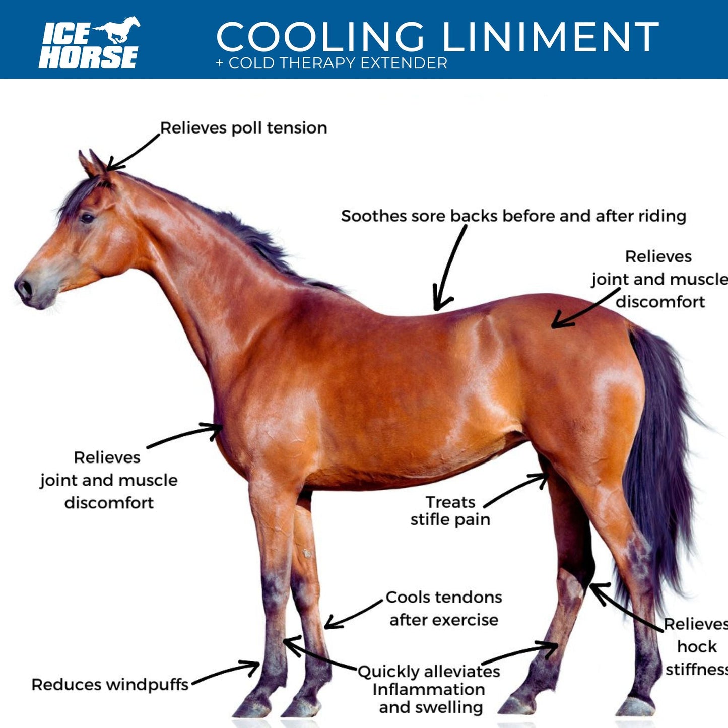 Ice Horse - Cooling Liniment and Cold Therapy Extender