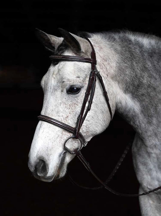 Grewal Equestrian - Arnold IV Square Raised Hunter Bridle