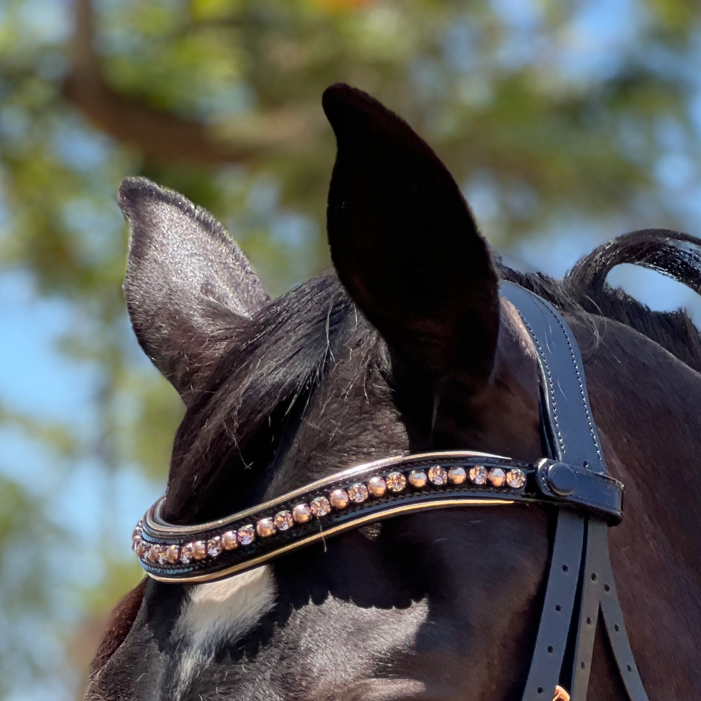 Halter Ego - Aurelia Rose Gold Black Patent Double Bridle