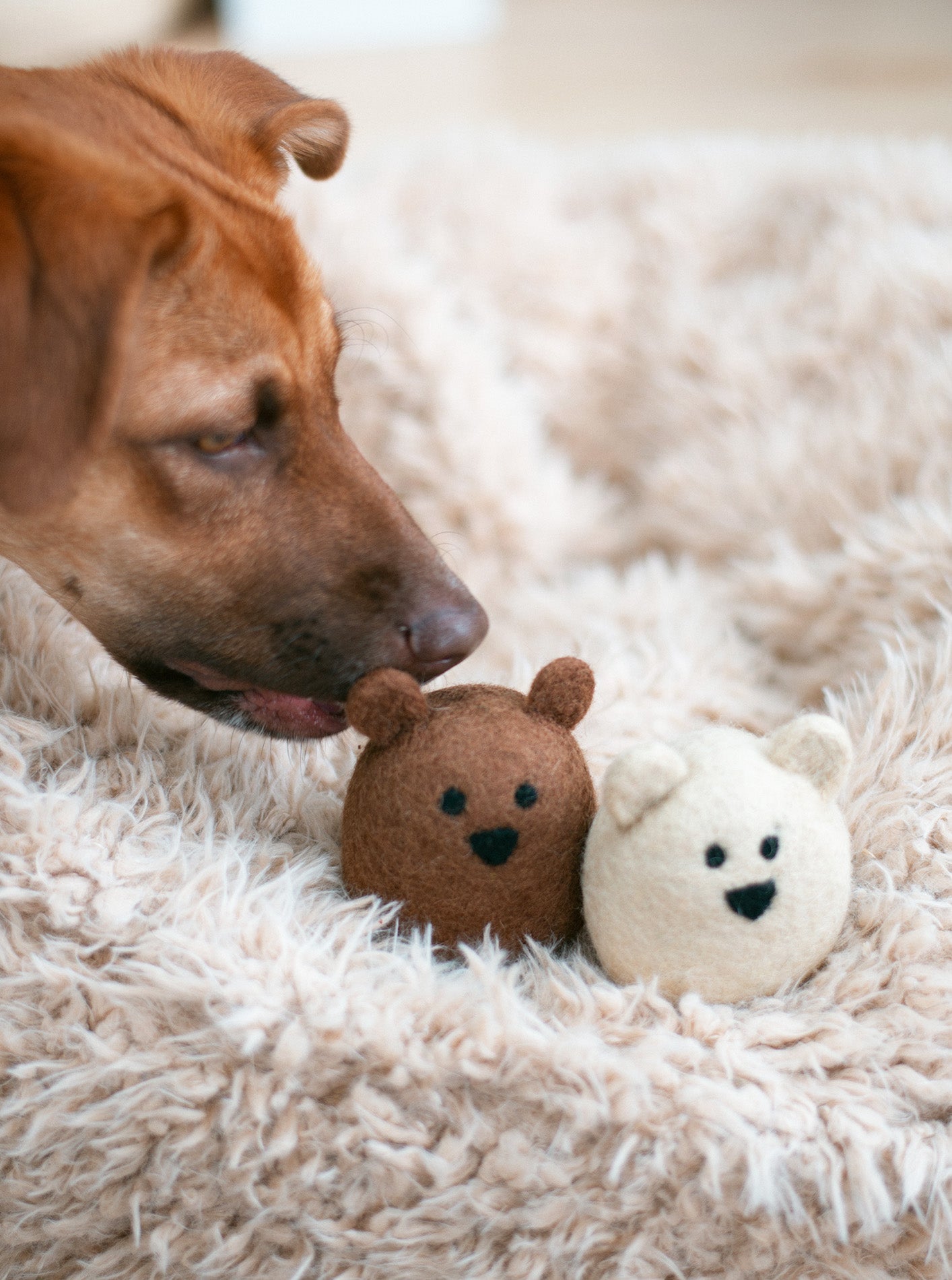 MODERNBEAST - Brown Bear Wool Dog Toy