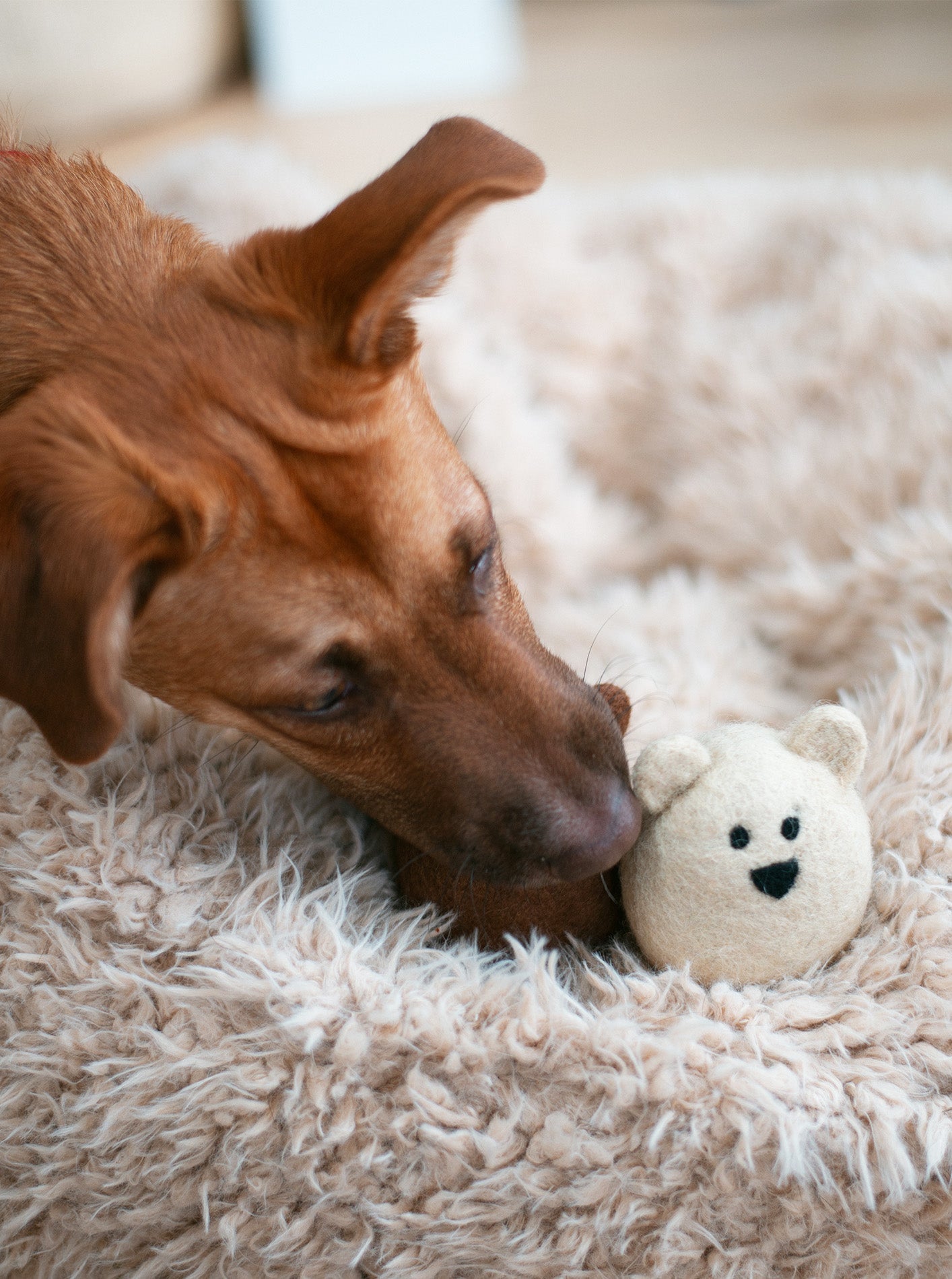 MODERNBEAST - Brown Bear Wool Dog Toy