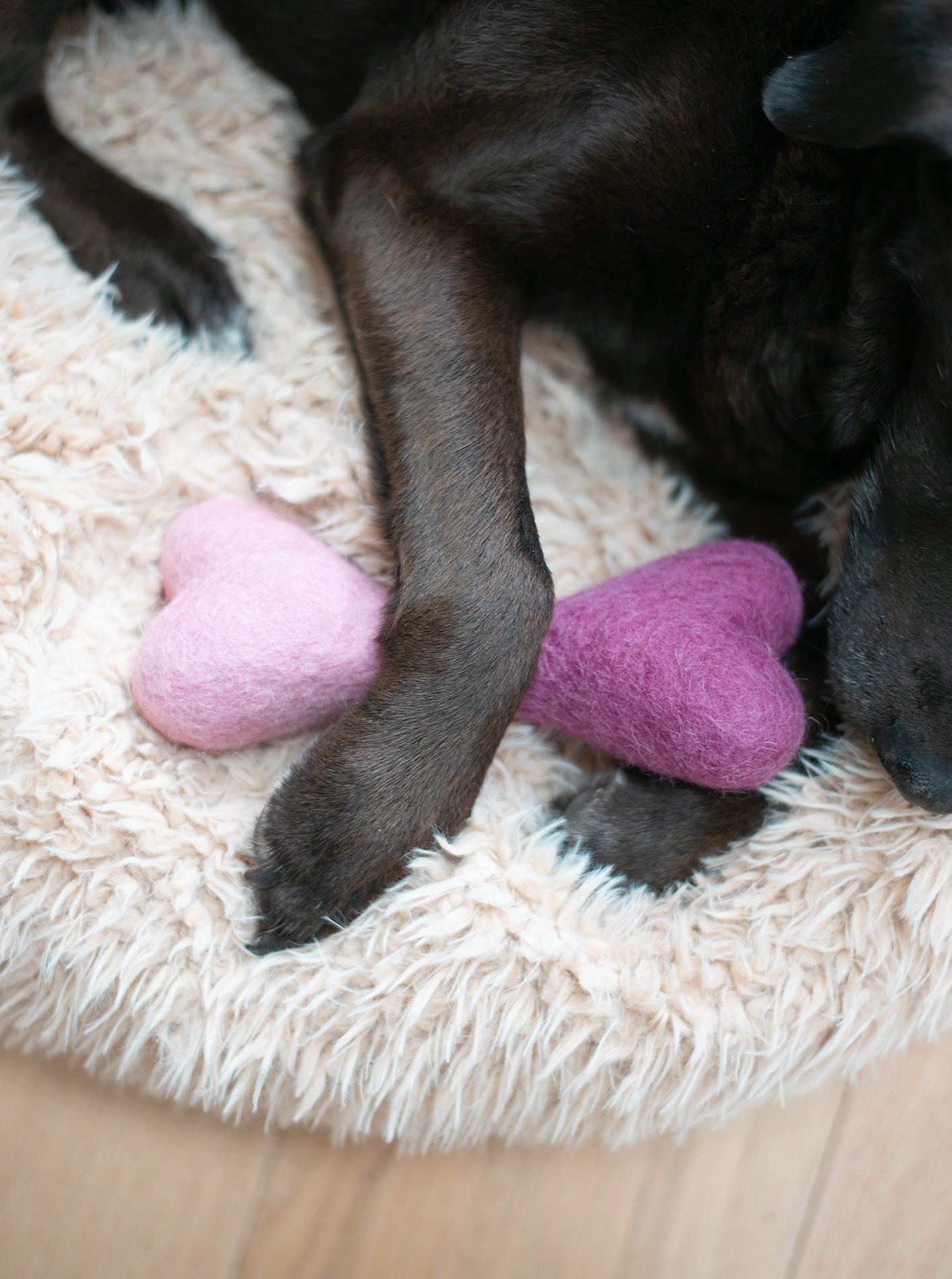 MODERNBEAST Ombre Woolbone
