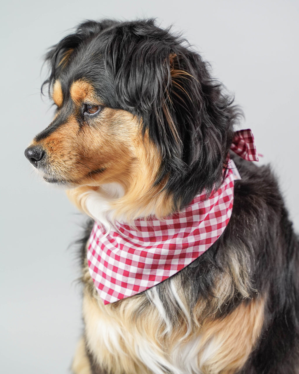 MODERNBEAST  Gingham Bandana