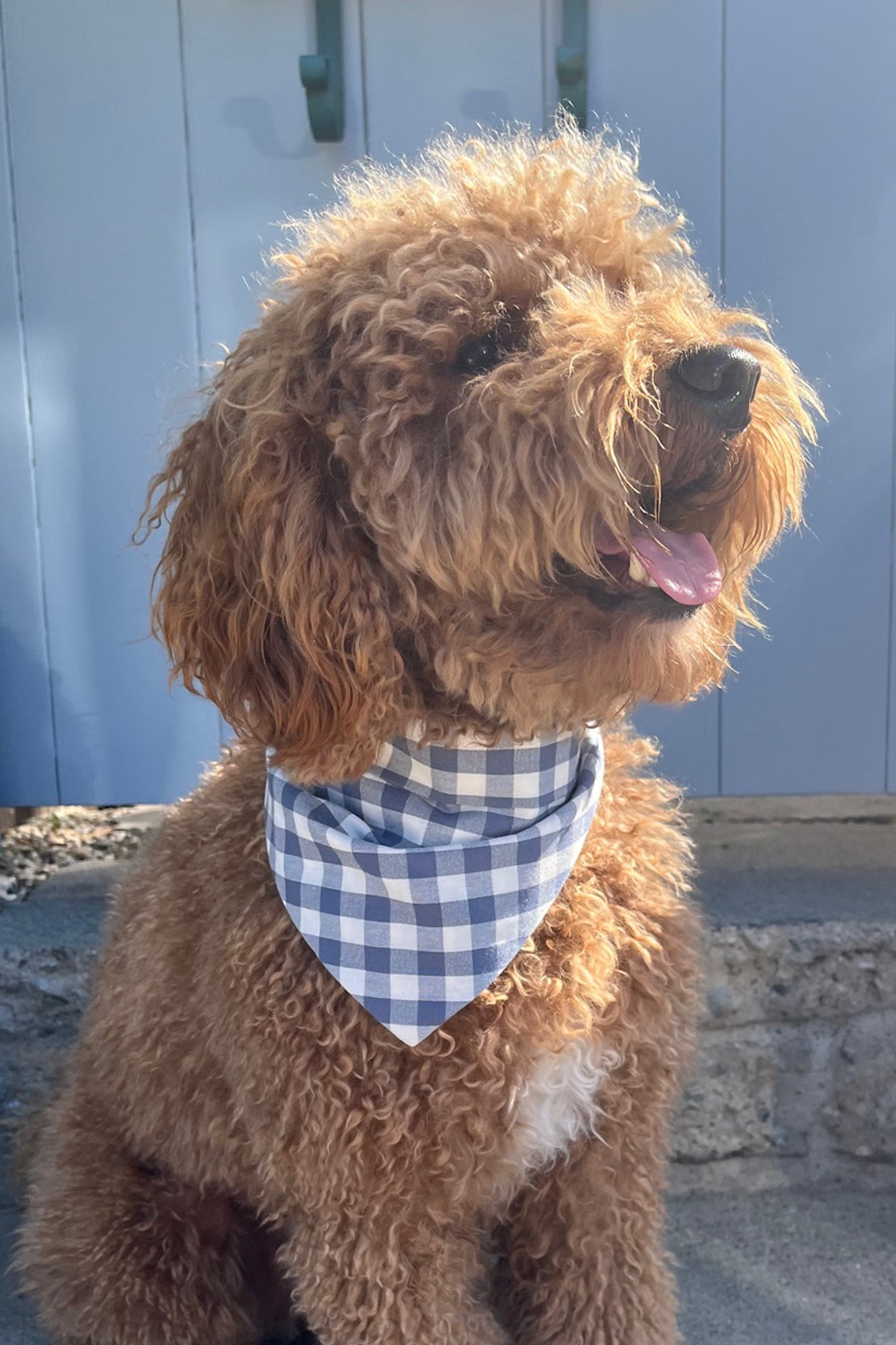 MODERNBEAST  Gingham Bandana