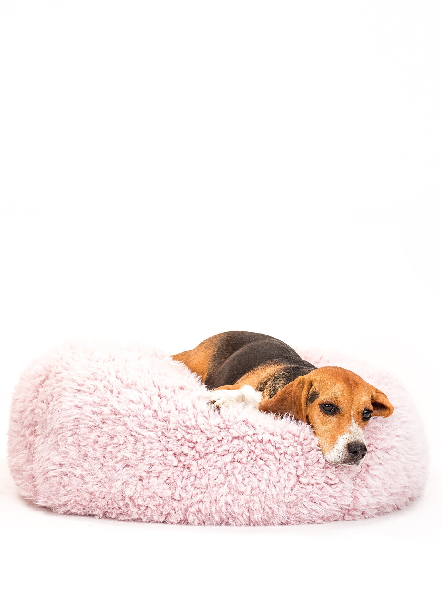 MODERNBEAST POD Dog Bed