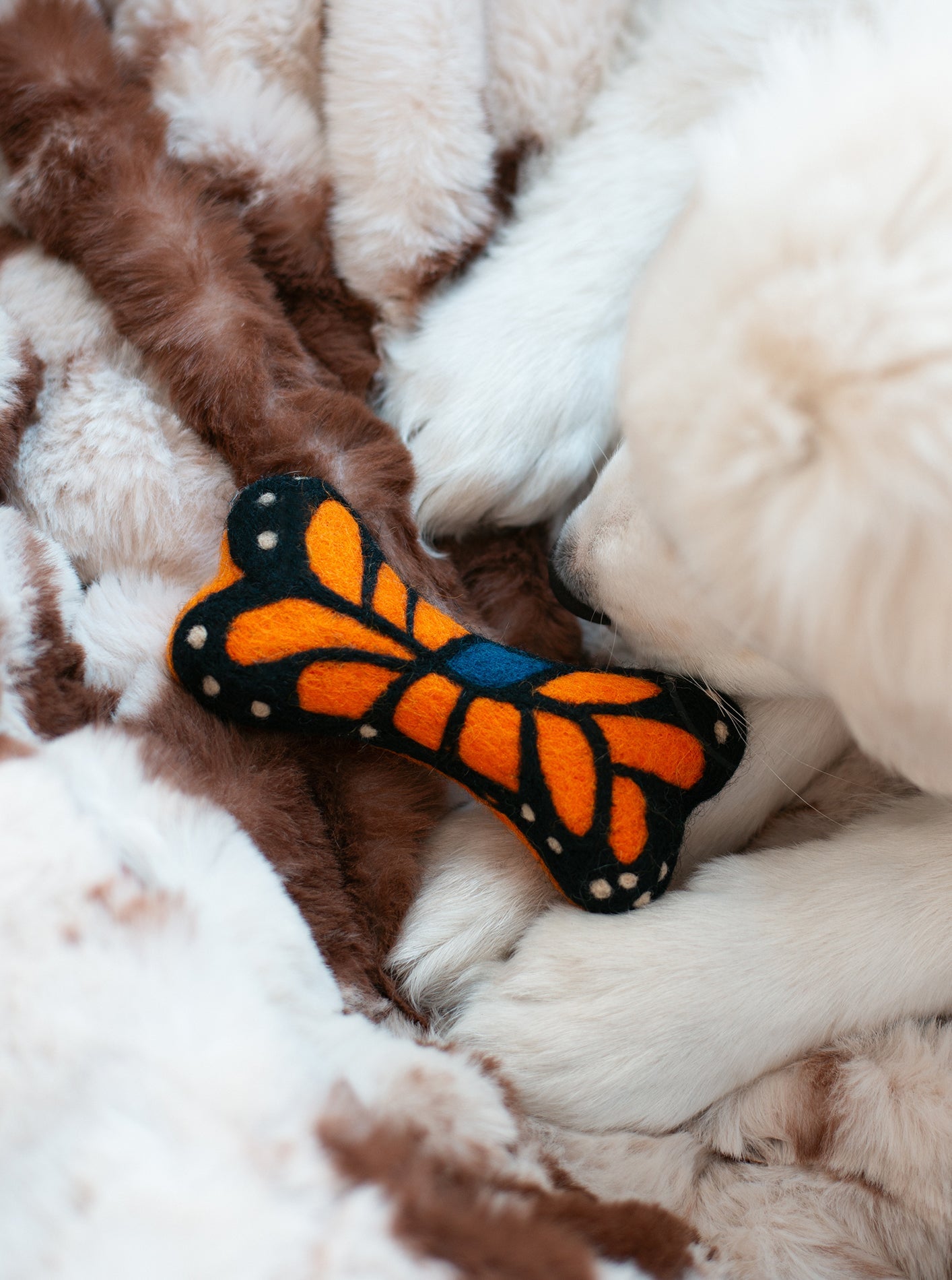 MODERNBEAST - Monarch Butterfly Wool Bone