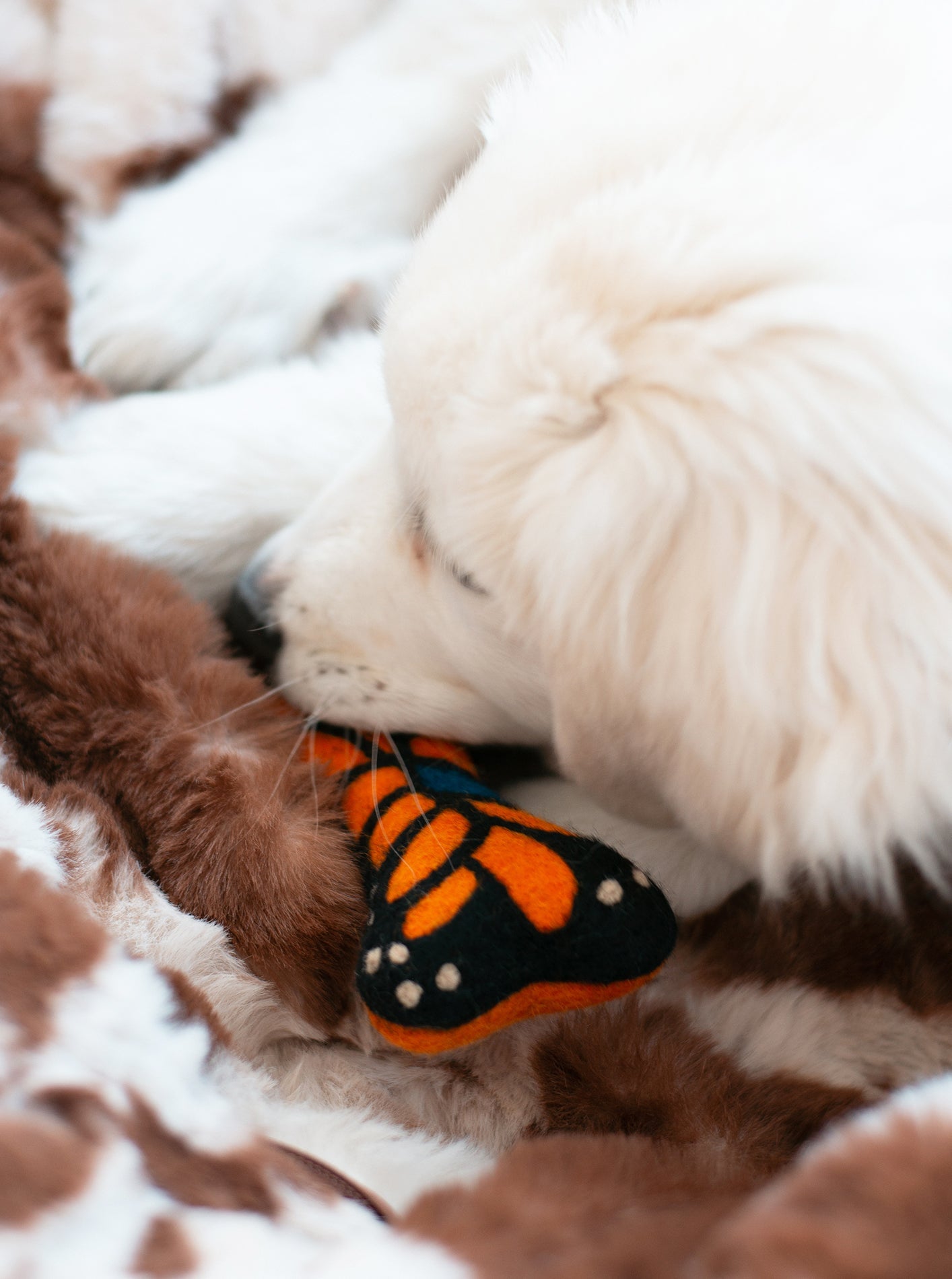 MODERNBEAST - Monarch Butterfly Wool Bone