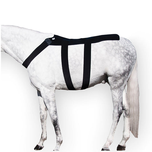 Ice Horse - Back Blanket