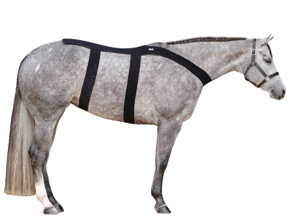 Ice Horse - Back Blanket