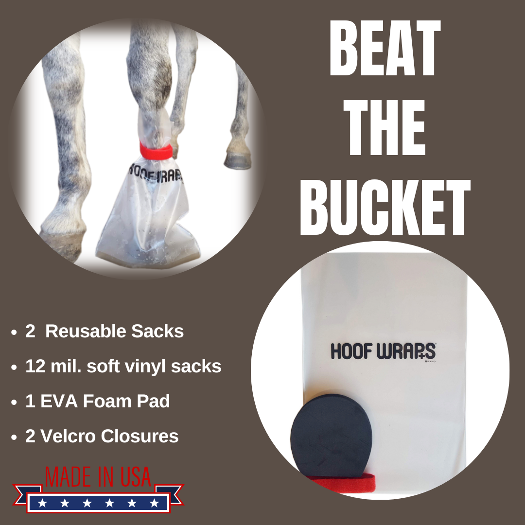 Ice Horse - Abscess Relief Kit