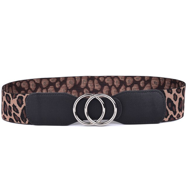 Canter Culture - Double Circle 2" Elastic Belt