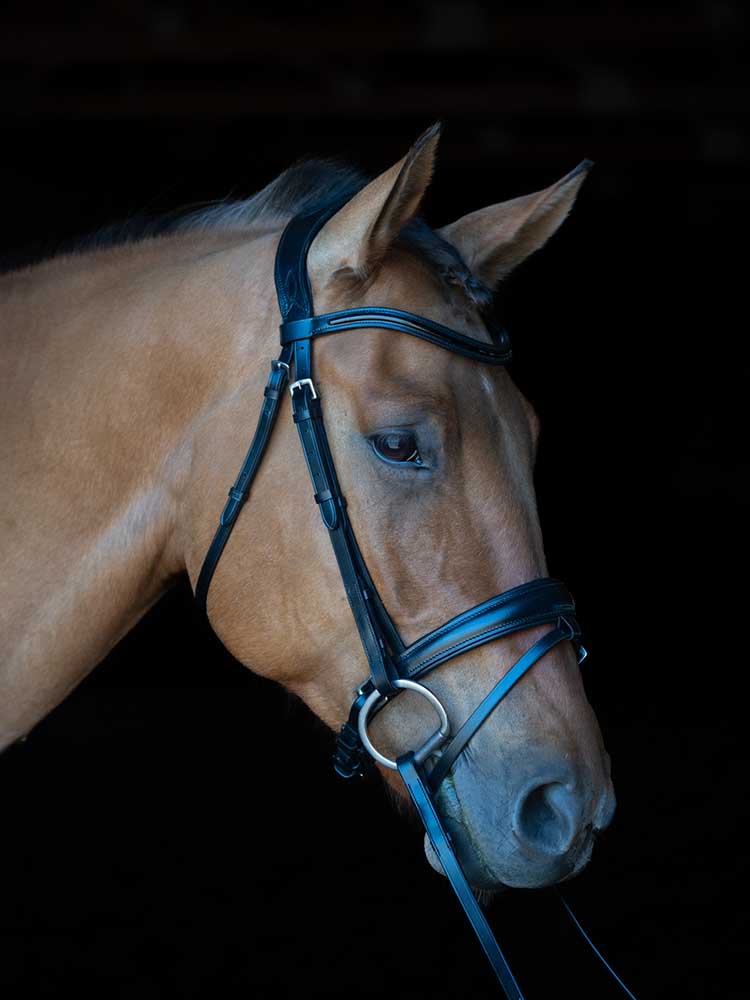 Grewal Equestrian - Berlin Dressage Bridle