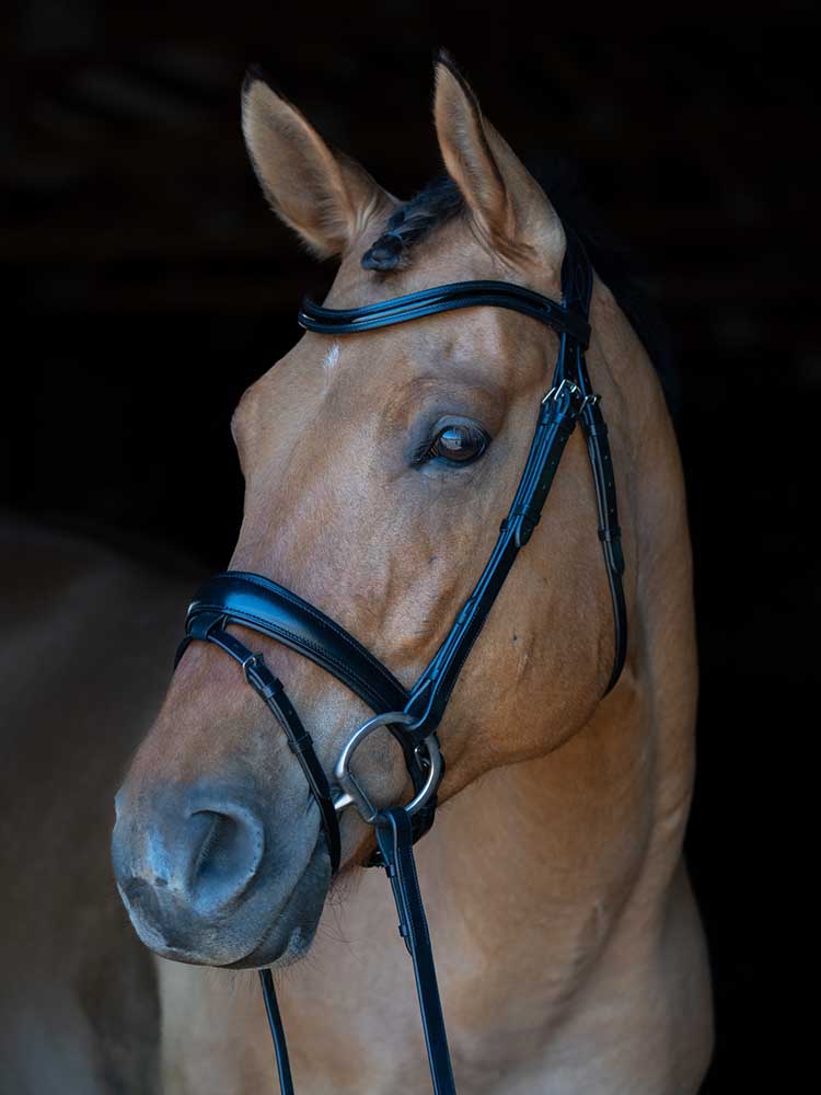 Grewal Equestrian - Berlin Dressage Bridle