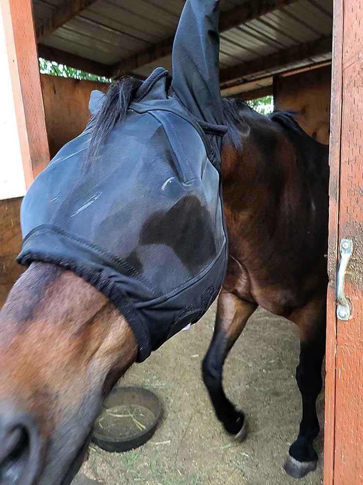 Grewal Equestrian - Fly Mask with Lycra Ears