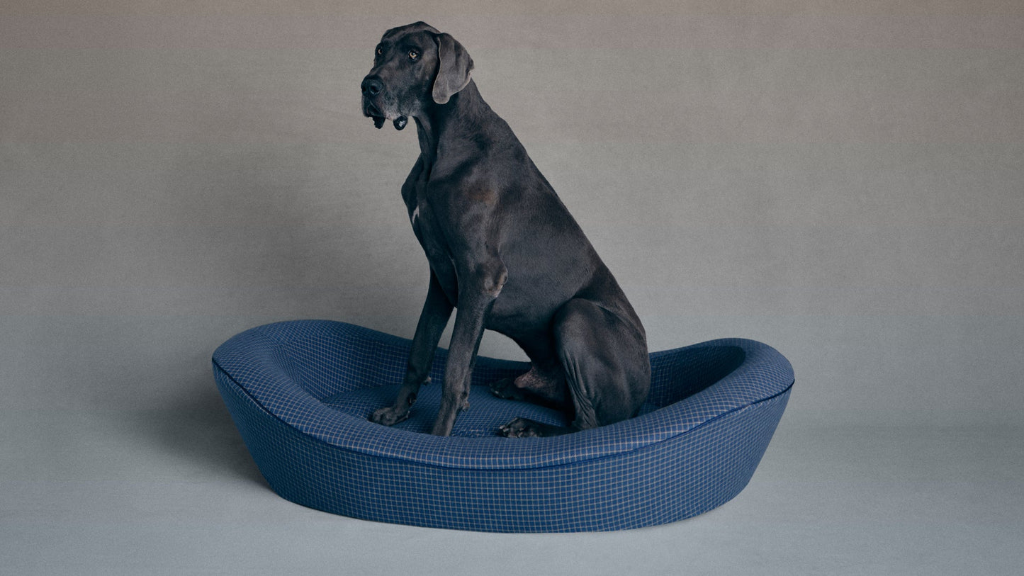 Enid Blythe Timeless Dog Bed in Wren's Blueprint
